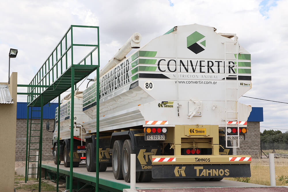 Servicios